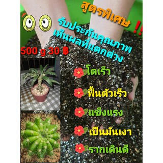 ดินสำหรับปลูกแคคตัส กระบองเพชร (Cactus) ไม้อวบน้ำ (Succulents) 500 กรัม 25 บาท