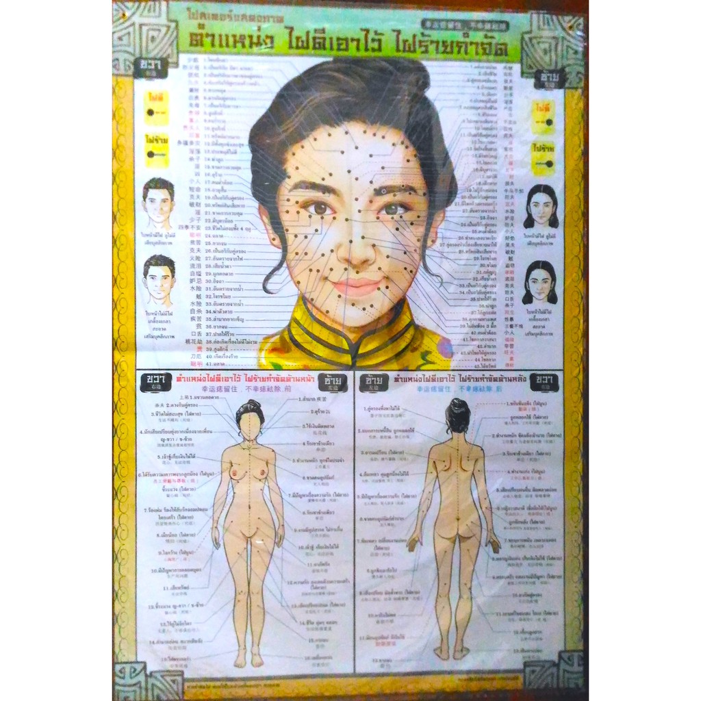 โปสเตอร์ ตำแหน่ง ไฝดีเอาไว้ ไฝร้ายกำจัด