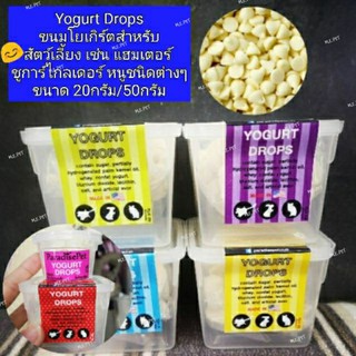 Yogurt Drop(โยเกิร์ต ดรอป)​ ขนมทานเล่นช่วยขับถ่าย สำหรับสัตว์ฟันแทะ ขนมแฮมเตอร์ ขนมชูการ์