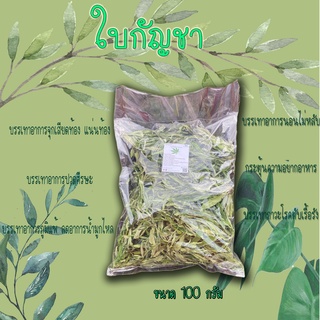 ชาใบกันชา บรรจุขนาด 100 กรัม บรรเทาอาการหวัด ภูมิแพ้