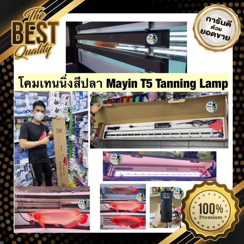 โคมเทนนิ่งสีปลา Mayin T5 Tanning Lamp สำหรับตู้ 60 นิ้ว รุ่นหลอดไฟสามแถว T5 2แถว(ค่าแสง 13000K) LED 1แถว (ค่าแสง 2700K)