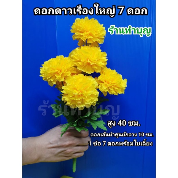 ดาวเรือง ช่อดอกดาวเรือง ดอกดาวเรืองใหญ่ 1 ช่อมี 7ดอกใหญ่ หรือ 9 ดอกคละ  ใช้ไหว้พระ ใช้ตกแต่ง วางบนหิ้งพระ ดอกไม้ไหว้พระ - รูปที่ 2