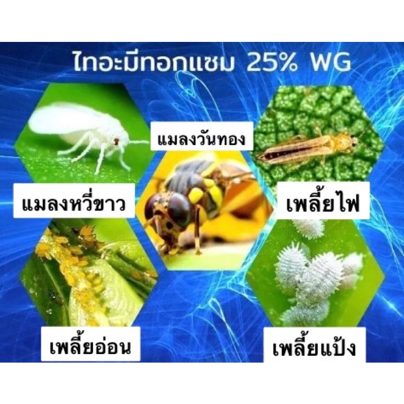 แอคทารา สารไทอะมีทอกแซม25%WGขนาด2กรัมสารป้องกันกำจัดเพลี้ยไฟเพลี้ยแป้งเพลี้ยอ่อนแมลงวันทองในพื้ชทุกชนิดป้องกันได้ดีมากที ราคา ถูกที่สุด ดีลบีเคเค แกลเลอรีภาพที่ 3