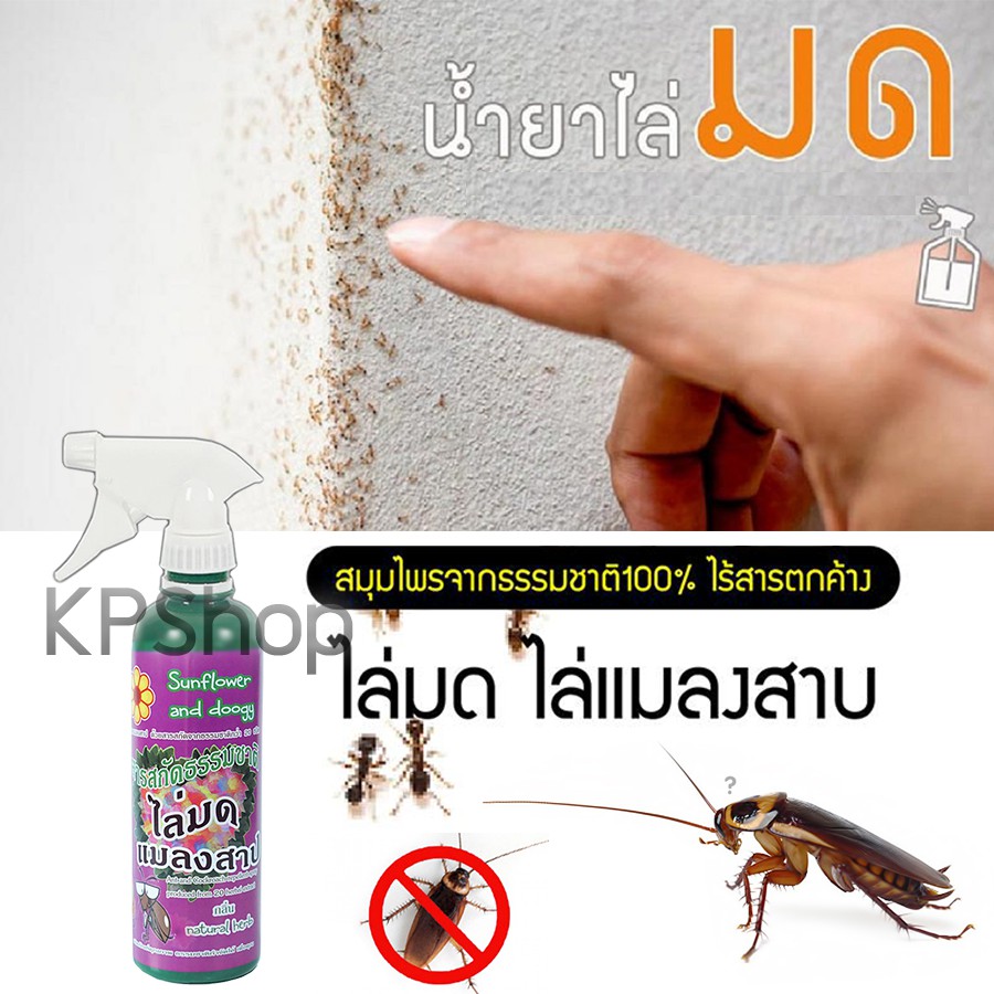 สเปรย์สมุนไพร ไล่มด ไล่แมลงสาบ เซต 2ขวด กำจัดมด กำจัดแมลงสาบ แถมผ้าไมโครไฟเบอร์ - รูปที่ 6