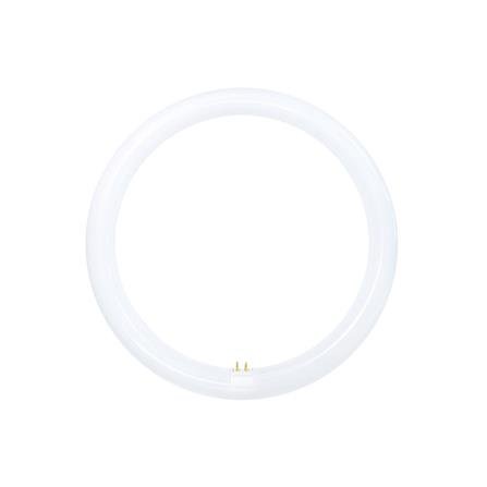 หลอดไฟ LED โตชิบา MAGNETIC CIRCULAR 20 วัตต์ DAYLIGHT แบบวงกลม