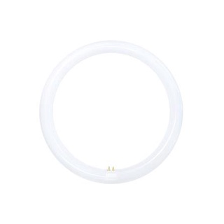 [พร้อมส่ง] HomeDoDee หลอด LED TOSHIBA MAGNETIC CIRCULAR 20 วัตต์ DAYLIGHT หลอดไฟ LED