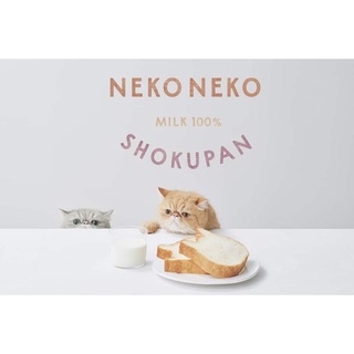 Neko Neko Shokupan Cat-Shaped Bread Exclusive Gift Box (dessert plate)