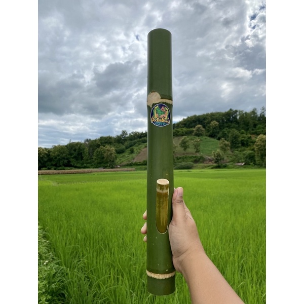 ไม้ไผ่สดจากธรรมชาติ พร้อมใช้กัญ ยาว45cm.