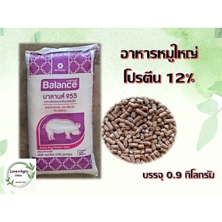 อาหารหมูใหญ่ อาหารไก่ชน โปรตีน 12% บรรจุ 0.9 กิโลกรัม