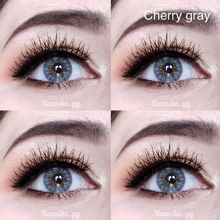 🔥 คอนแทคเลนส์ ✨ขนาดมินิ ✨Gray✨Cherry