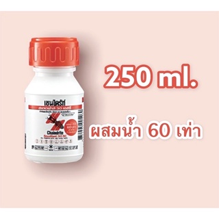 เชนไดร้ท์ สเตดฟาส 30 เอสซี น้ำยาราดปลวก 🩸250 ml. 💦ผสมน้ำ 60 เท่า