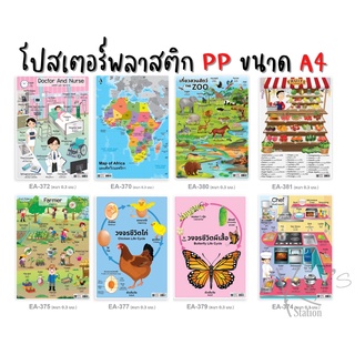 สินค้ามาใหม่ !! โปสเตอร์พลาสติก PP ขนาด A4