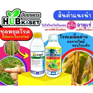 อามูเร่ 500ซีซี-1ลิตร (ไดฟีโนโคลนาโซล+โพรพิโคนาโซล) ป้องกันโรคเมล็ดด่างในนาข้าว