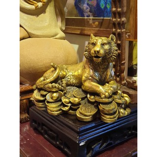 Brass  tiger เสือทองเหลืองบนเงินทอง