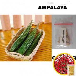 AMPALAYA SEEDS  -  5 seeds芹菜/儿童/内裤/鲜花/裙子/木瓜/苹果/通心菜/上衣/seeds/ HHQO