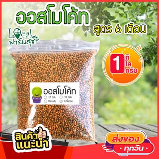 Local ฟาร์มสุข🚛 ออสโมโค้ท (Osmocote-plus) สูตร 12-25-6+1% สำหรับ 6 เดือน เร่งดอก ทำให้ดอกมีขนาดใหญ่ เร่งสี 1 กิโล