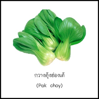 เมล็ดกวางตุ้งฮ่องเต้ (Pak choy) 200 เมล็ด [10 แถม 1 คละได้]