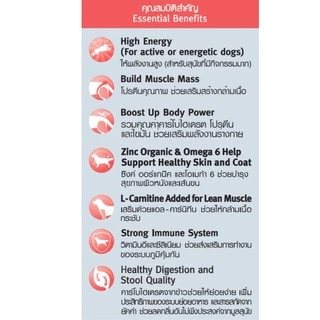 สมาร์ทฮาร์ท พาวเวอร์แพ็ค อาหารสุนัข สุนัขโตพันธุ์เล็ก 10กก. | SmartHeart Power Pack Adult Small Breed 10kg