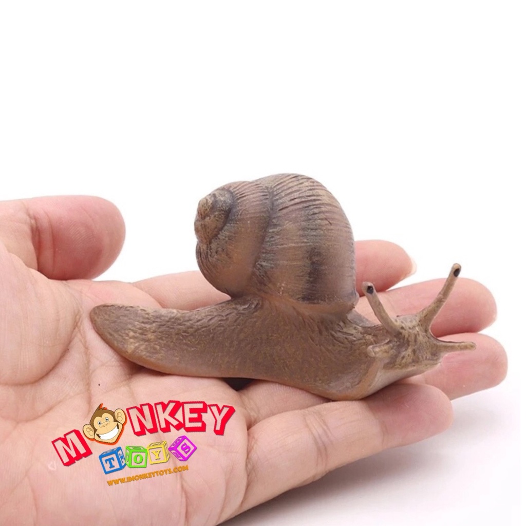 Monkey Toys โมเดลสัตว์ Snail หอยทาก เทา ขนาด 9.10 CM (จากหาดใหญ่)
