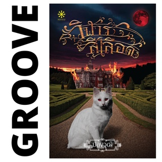 วิฬาร์สีเลือด โดย ปองวุฒิ - นิยาย GROOVE พร้อมส่งจากสำนักพิมพ์