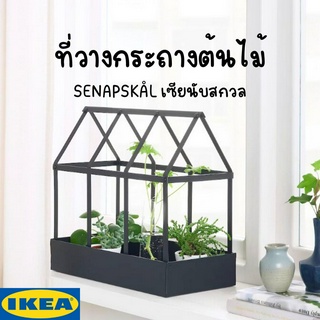 **จำกัดออเดอร์ละ 1 ชิ้นนะคะ**SENAPSKÅL เซียนับสกวล ที่วางกระถางต้นไม้ IKEA ใน/นอกอาคาร