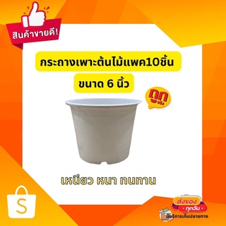 กระถางต้นไม้พลาสติก กระถางเพาะต้นไม้ ขนาด 6 นิ้ว สีขาว เหนียว หนา ทนทาน Made in thainland (แพค 10ชิ้น)