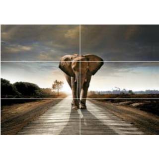 กระเบื้องผนังภาพชุด GRANDE ELEPHANT 90X120*A (30X60CM/6 แผ่น/ชุด)