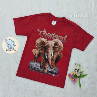 เสื้อยืดเด็กสกรีนลายช้าง (พร้อมส่ง) เสื้อยืดสีสกรีนคอตตอน (คอมบ์)100% ใส่สบายผิว เสื้อยืดลายไทยแลนด์ เสื้อยืดเด็กน่ารักม