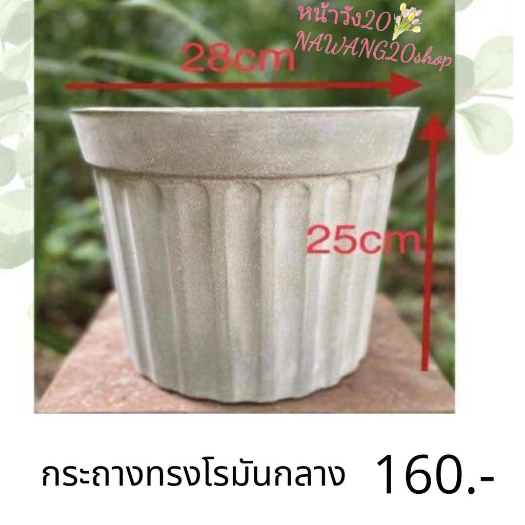 กระถางต้นไม้ปูนเปลือย ทรงโรมันกลาง