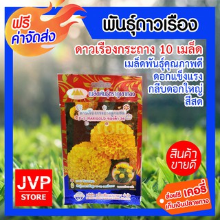 **ส่งฟรี**10เมล็ด เมล็ดพันธุ์ดาวเรืองกระถาง เมล็ดพันธ์แข็งแรง กลีบดอกใหญ่ ดอกแข็งแรง สีเหลืองสดใส