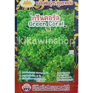 เมล็ดพันธุ์ สลัด กรีนคอรัล green coral จำนวน 200 เมล็ด