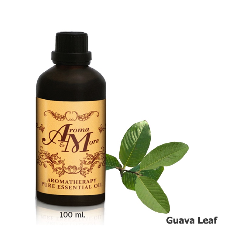 Aroma&More Guava Leaf essential oil น้ำมันหอมระเหยใบฝรั่ง 100% / Thailand 100ML