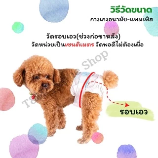 กางเกงอนามัยสัตว์เลี้ยง กางเกงอนามัยสุนัข-แมว ใส่ป้องกันฉี่ หรือขณะมีประจำเดือน สต๊อกพร้อมส่งจากไทย