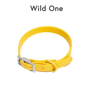 Wild One - Collar ปลอกคอสุนัข │ Butter✨(Limited)