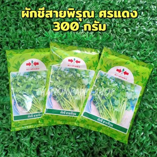 ผักชีสายพิรุณ ตราศรแดง 300 กรัม