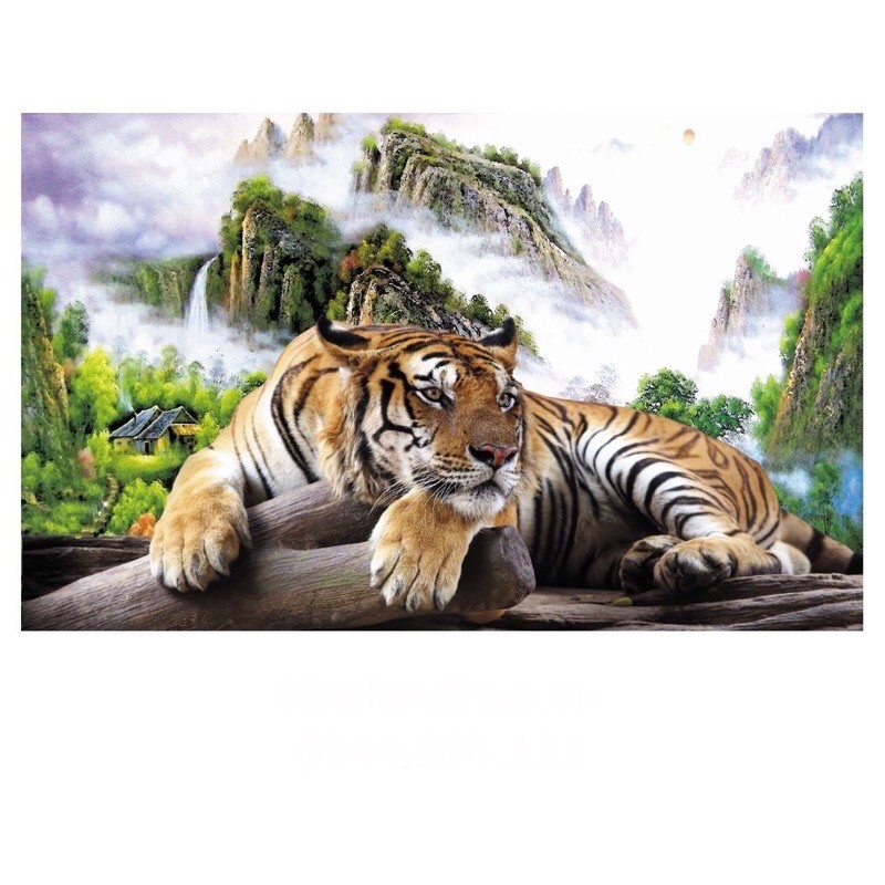 ภาพวาดเพชรเสือ Vs238 ขนาด 80x53ซม