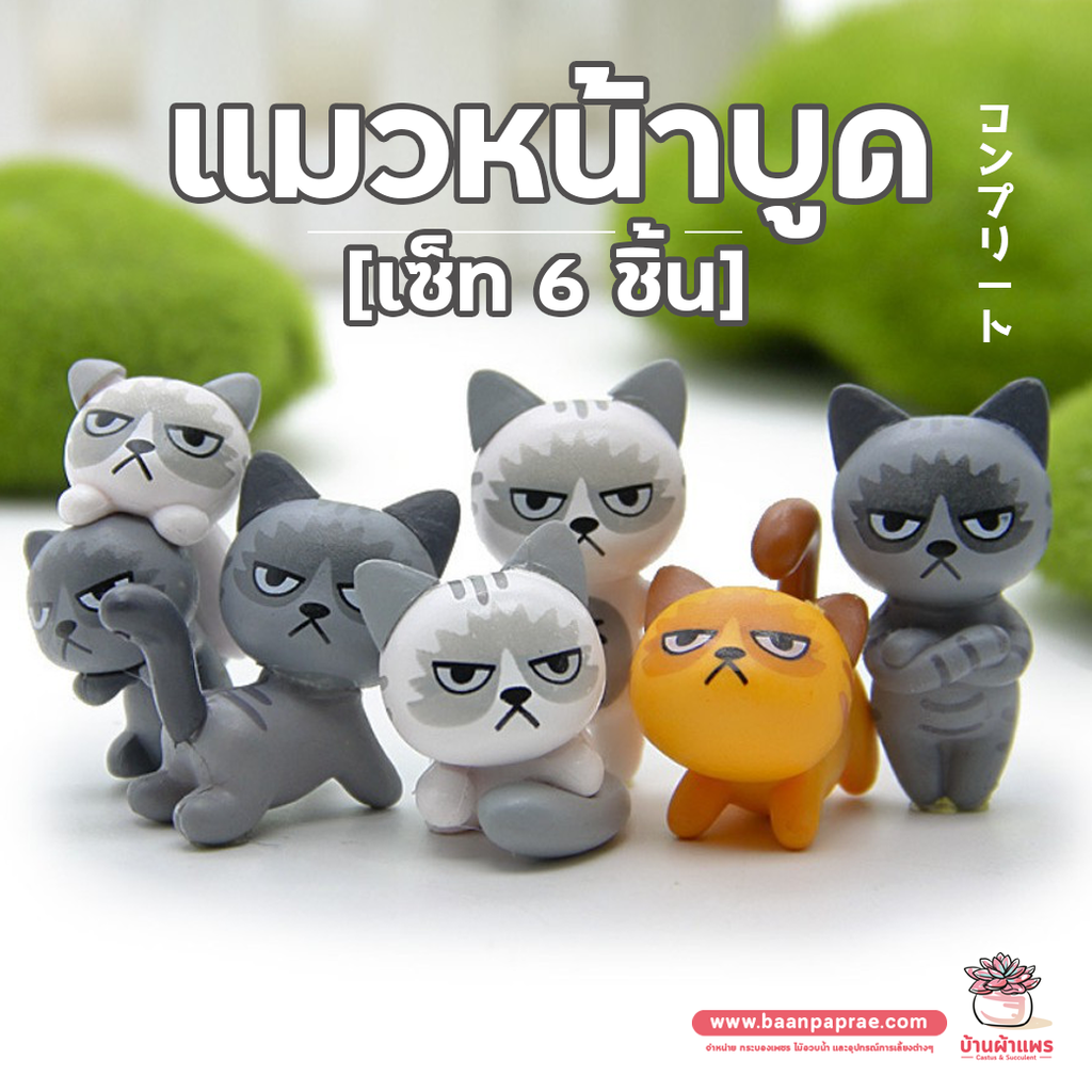 แมวหน้าบูด เซ็ท 6 ตัว ตุ๊กตาจิ๋ว โมเดลจิ๋ว แต่งสวน | Shopee Thailand