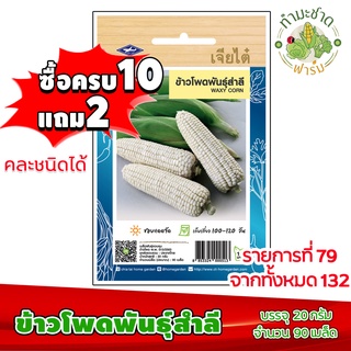 (ซื้อ10แถม2) เมล็ดพันธุ์ ข้าวโพด พันธุ์สำลี Waxy corn ประมาณ 90เมล็ด เจียไต๋ เมล็ดพันธุ์พืช เมล็ดพันธุ์ผัก เมล็ดผัก