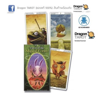 ไพ่ทาโรต์ Tarot of the Magical Forest (ของแท้ 100%) สินค้าพร้อมส่ง ไพ่แท้, ร้าน Dragon TAROT