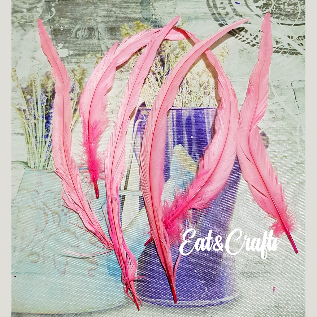 ขนไก่โต้ง สั้น 9 ก้าน มีหลายสี (พร้อมส่ง) เส้นขน ขนนก ขนไก่ แบ่งขาย  ขนาดเล็ก ยาว10-12 นิ้ว Rooster Coque Tail Feather ราคา ถูกที่สุด ดีลบีเคเค แกลเลอรีภาพที่ 3