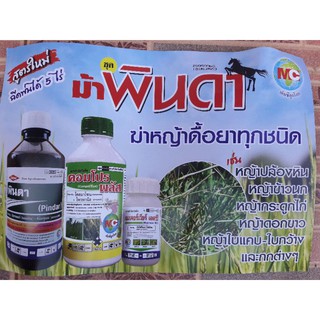 ✅ส่วนลด50% ทักแชท 🌾ชุดม้าพินดา ฆ่าหญ้าในนาข้าว ❌หญ้าปล้องหิน❌ 5 ไร่