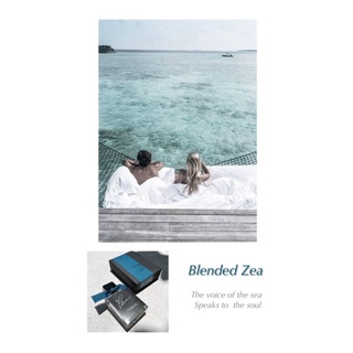 น้ำหอมแบรนด์ฟรี (โบว์น้ำเงิน) Phree Eau De Perfume by Phenomenal Botanics กลิ่น Blended Zea Unisex 50ml