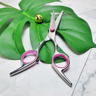 กรรไกรตัดขนสุนัข ปลายโค้งสแตนเลส Top Paw Scissors Curved ball tip  กรรไกรตัดขน กรรไกรตัดขนสัตว์เลี้ยง กรรไกรตัดขนสุนัข ห