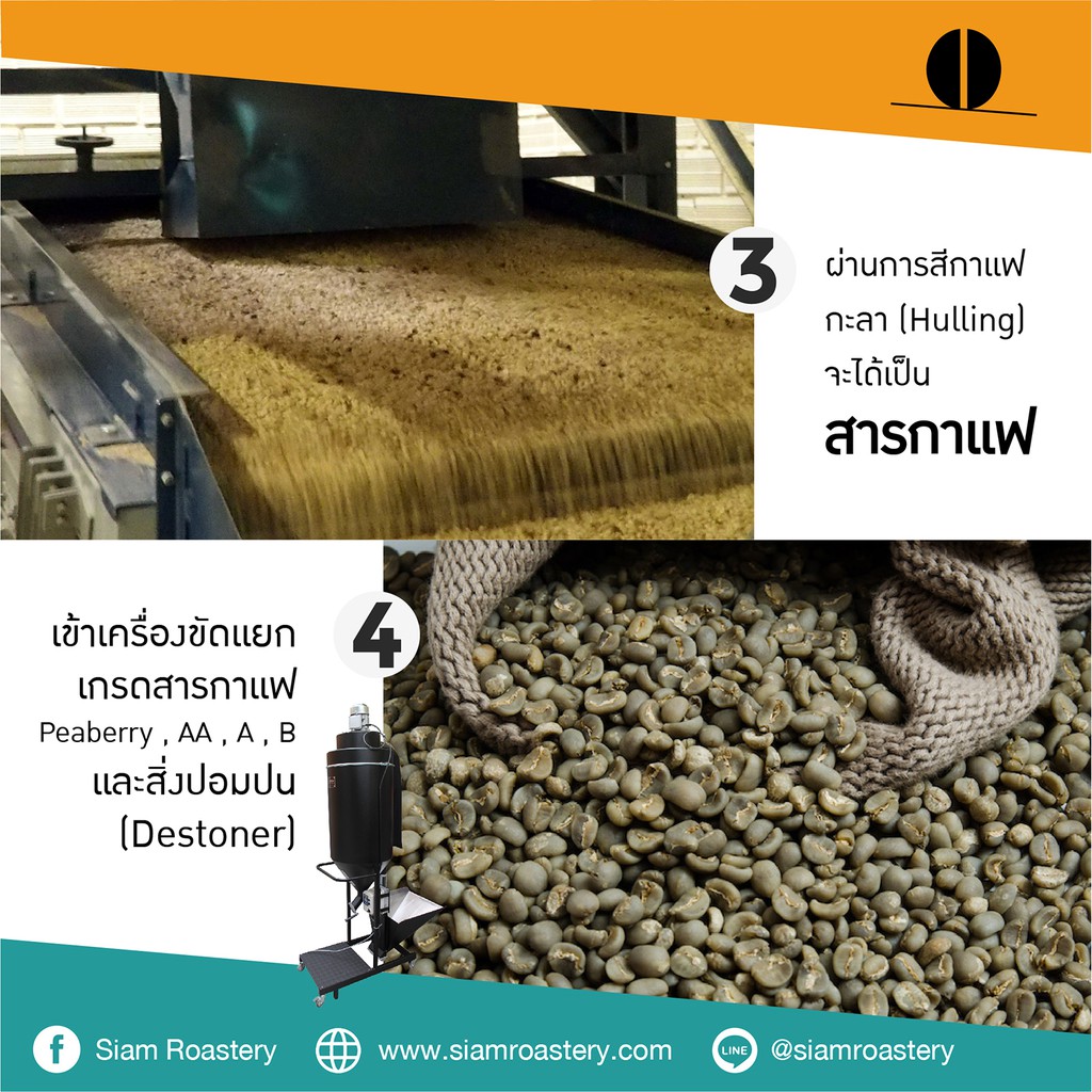 เมล็ดกาแฟเอธิโอเปีย Ethiopia Coffee | กาแฟดอกไม้ เมล็ดกาแฟต่างประเทศ | คั่วอ่อน | 200 g. - รูปที่ 5