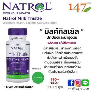 [แท้100%] Natrol Milk Thistle Advantage 525 mg., ปกป้องและบำรุงตับ มิลค์ทิสเซิล ให้ซิริมารินสูง 420 มก. , 60 แคปซูล