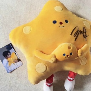 ดีแลนหวังมีตุ๊กตาที่มีลายเซ็นสดเซียวจ้าน Dylan Wang hand signed star pillow, Dylan Wang &amp; Esther Yu hand signed doll