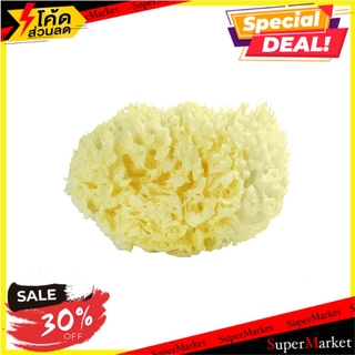 ✨ขายดี✨ ฟองน้ำธรรมชาติ เบอร์ 14 BABY’S BEZT ผลิตภัณฑ์เพื่อสุขอนามัย NATURAL SPONGE BABY’S BEZT NO.14