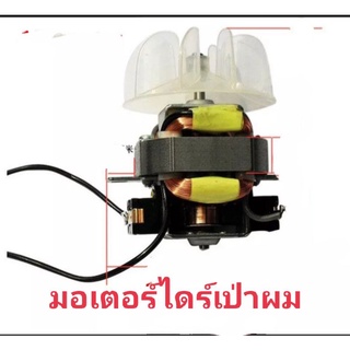 มอเตอร์ไดร์เป่าผมมอเตอร์สำหรับไดร์เป่าผม