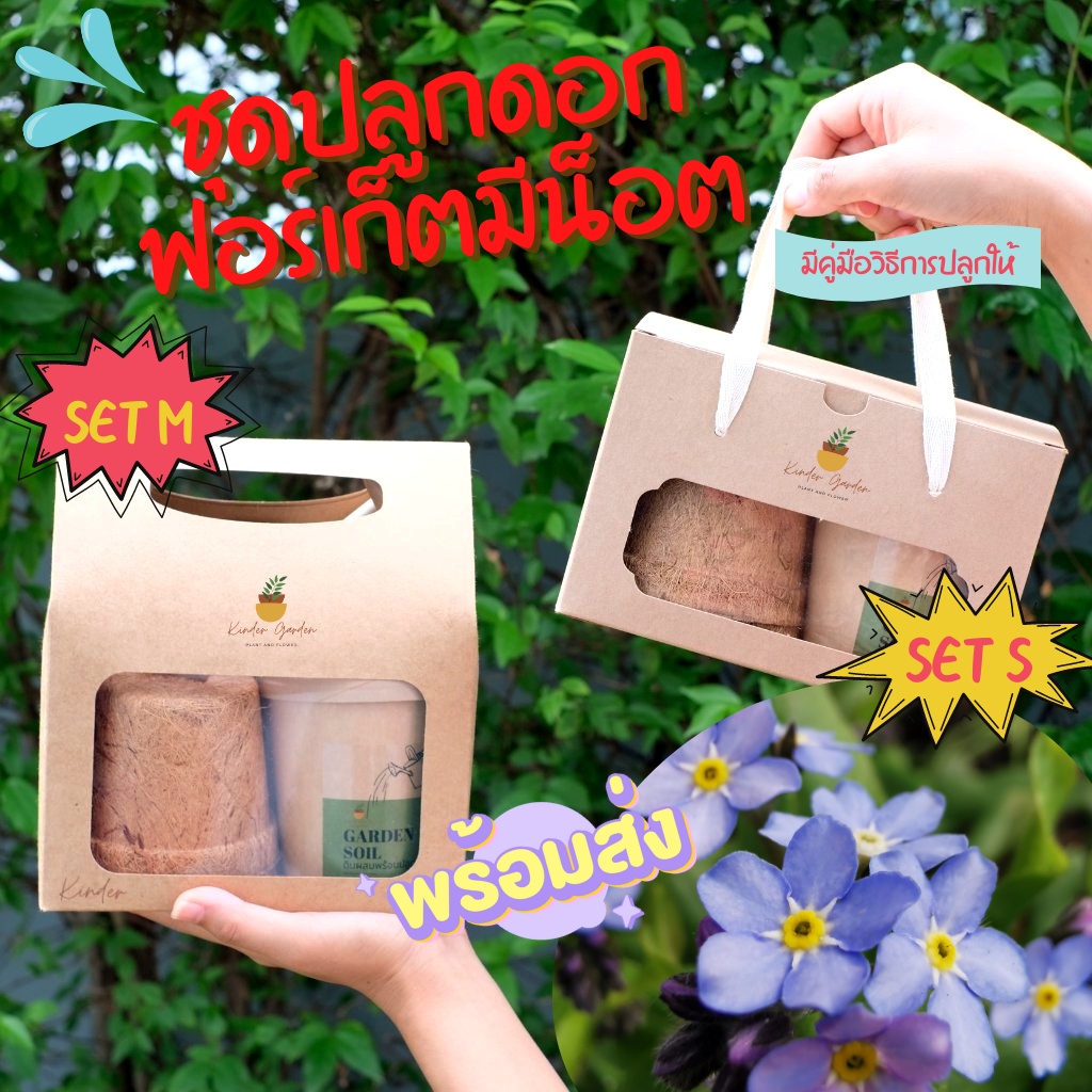 ชุดปลูกดอกไม้ ชุดของขวัญ ชุดพร้อมปลูกดอกฟอร์เก็ตมีน็อต