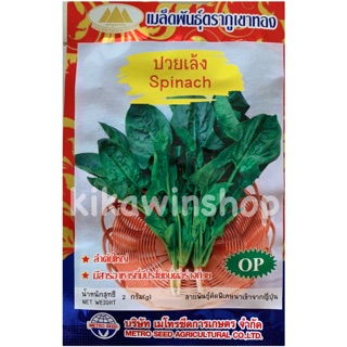 เมล็ดพันธุ์ ปวยเล้ง (10 แถม 1 คละได้)